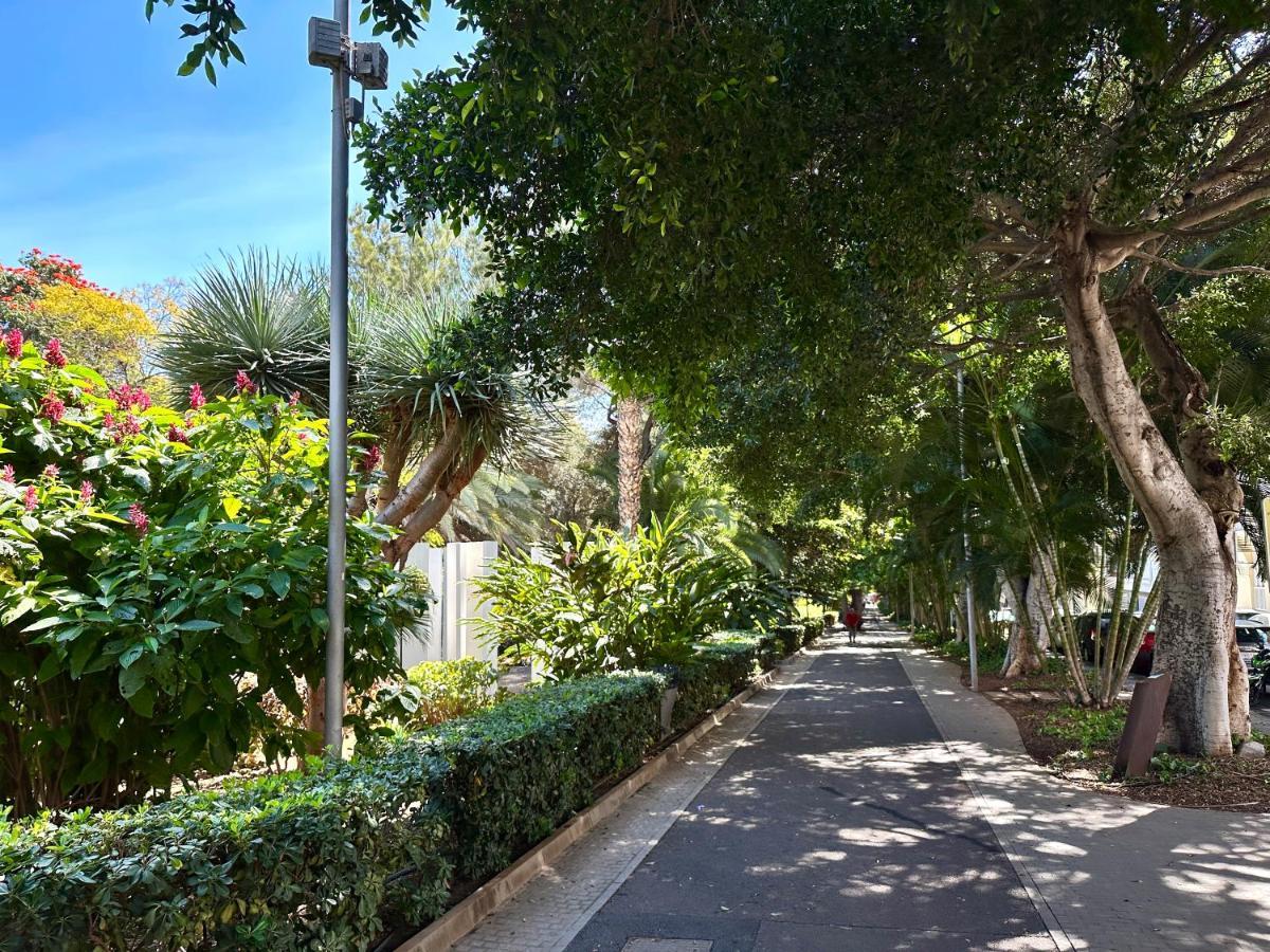 Centrico Y Moderno Junto Al Parque Daire Santa Cruz de Tenerife Dış mekan fotoğraf